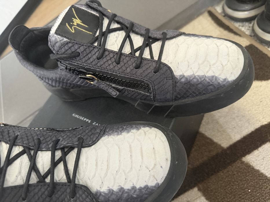 Giuseppe Zanotti