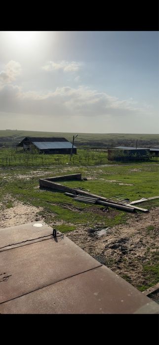 Фазенда, қора сатылады