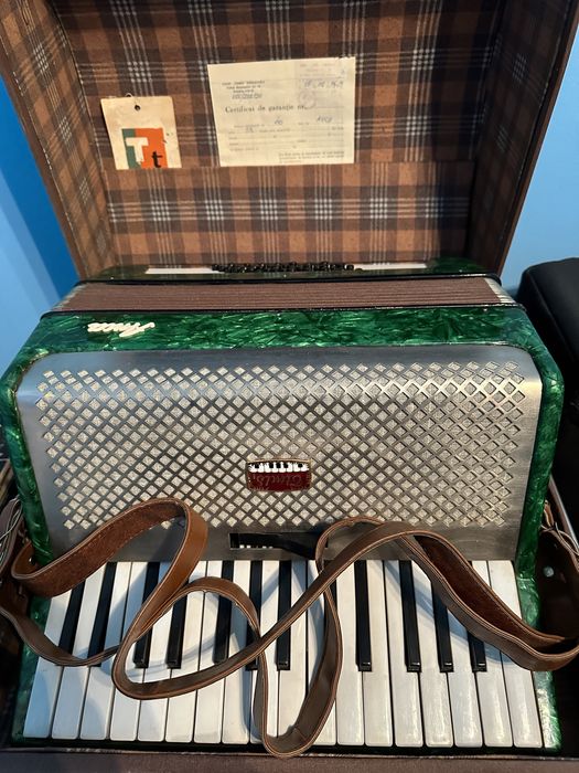 Acordeon (11 bucăți)
