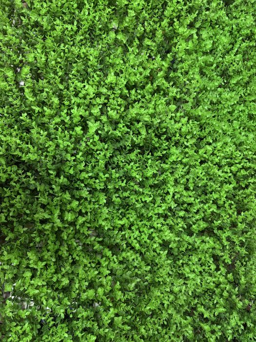 Искусстенные растения, декор