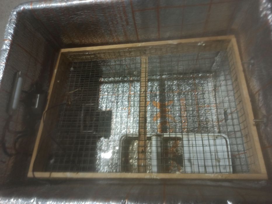 Nest inkubator sotiladi