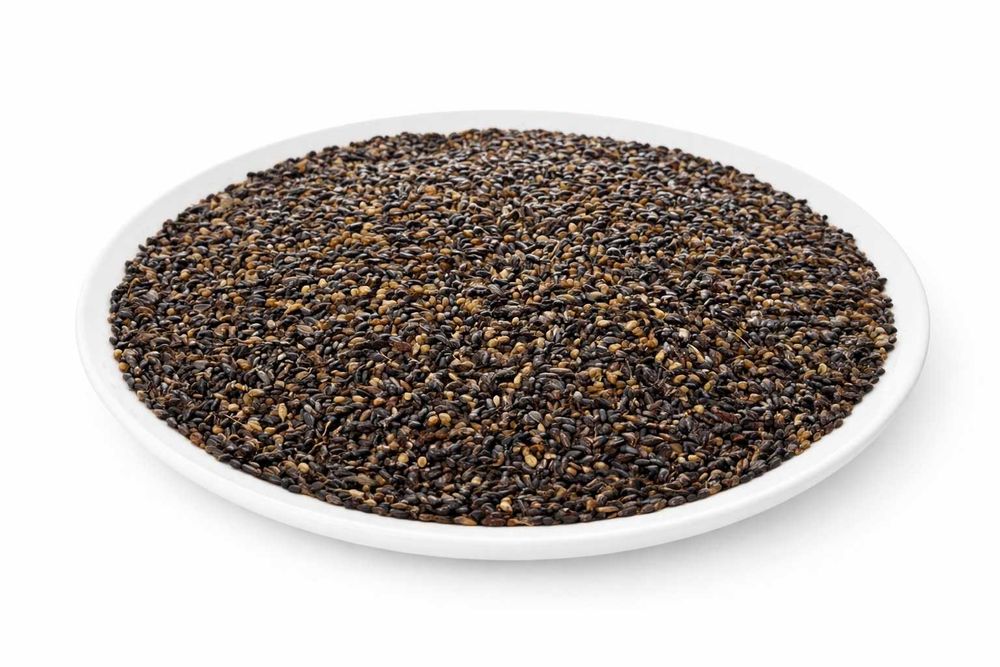 Продам суданку - цена 350 тг!