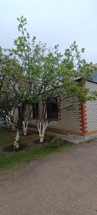 Продам дом.в п.Зачаганск.