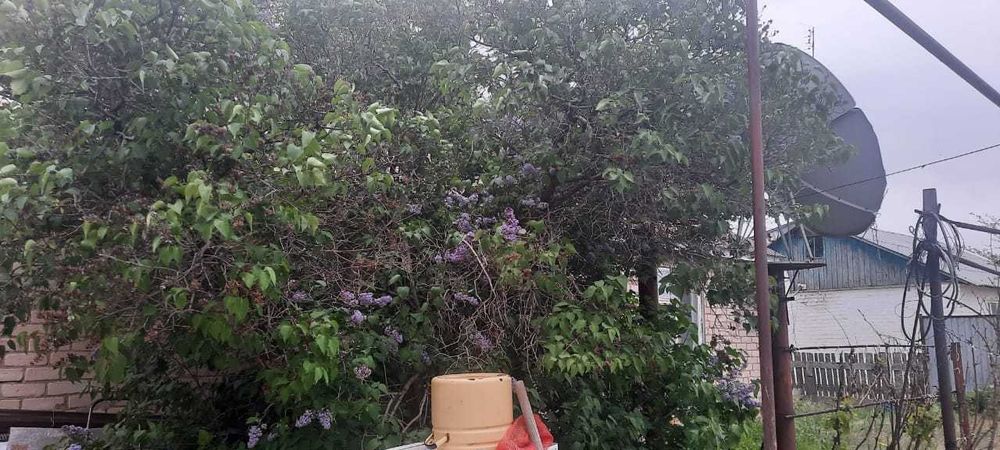 Продам дом в поселке Бестамак!