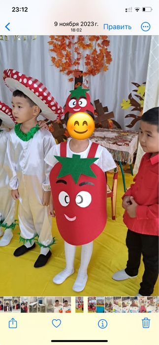 Костюм помидора