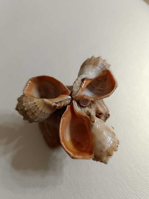 Пепельницы советских времён