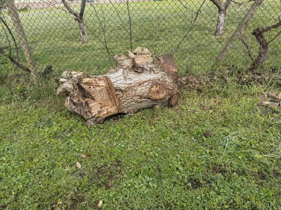 Дървен материал орех