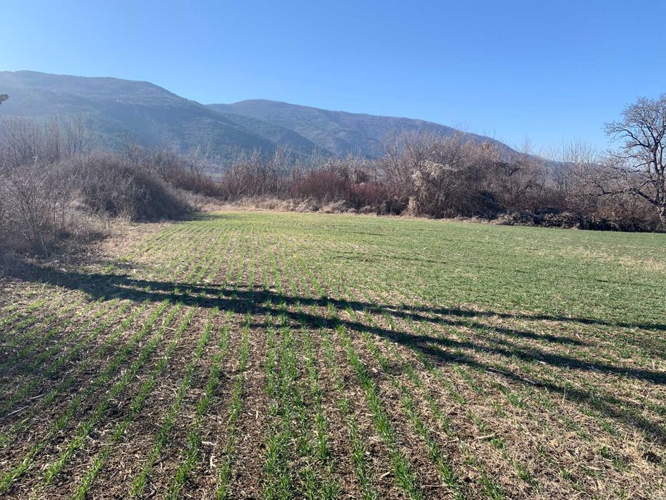 Продавам 1/3 идеални части от нива в с. Мулдава м. СТАРАТА КОЛИБА