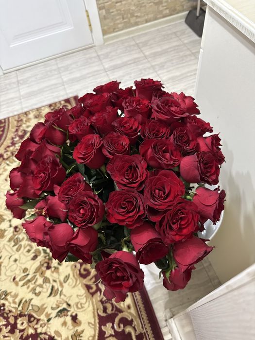 Цветы . Розы.