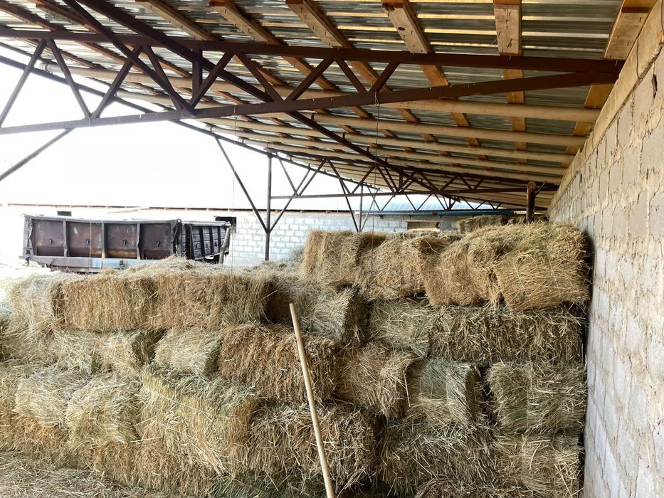 Продается Крестьянское хозяйство