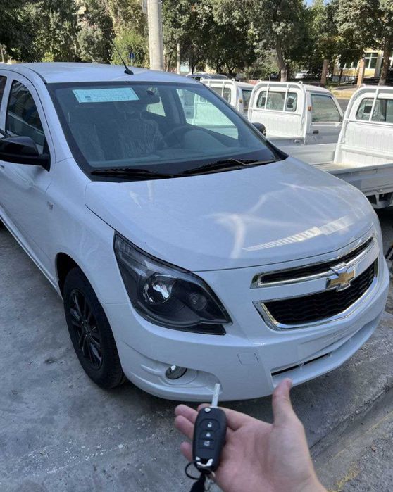 cobalt midnignt peniyasiz nasiya