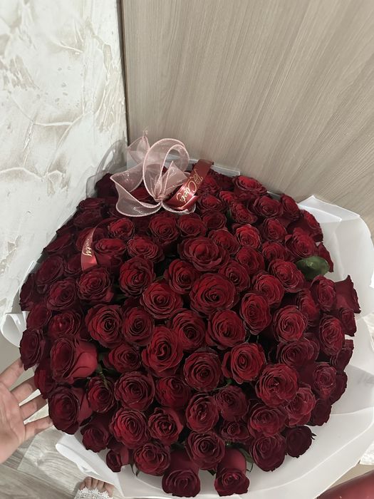101 роза свежие красные