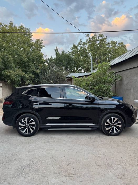 byd chempion 2024