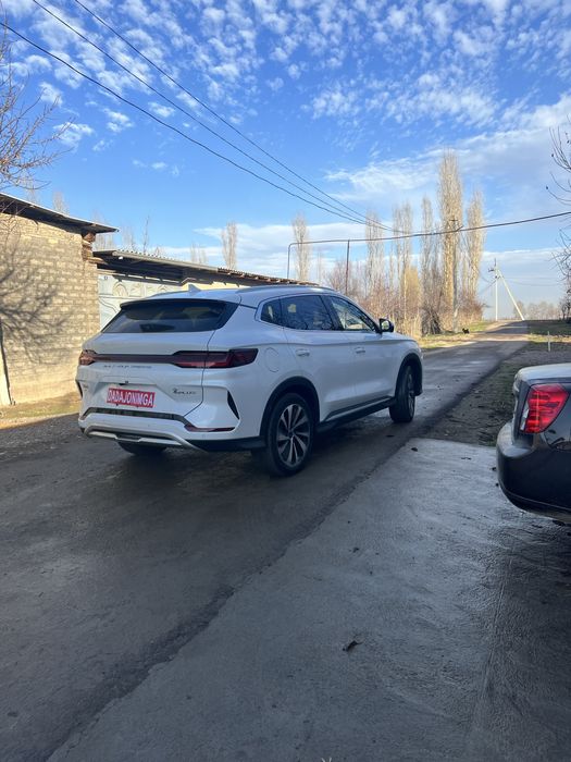 Byd song chempion 605