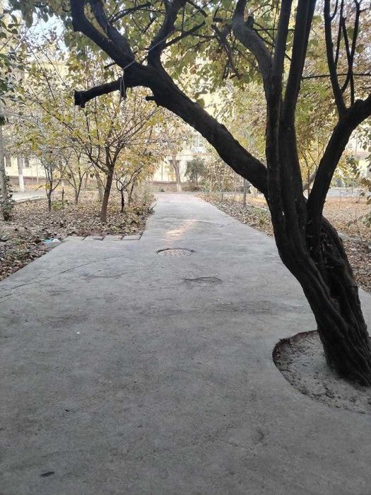 4 хонали квартира сотилади. Чиланзар 11.