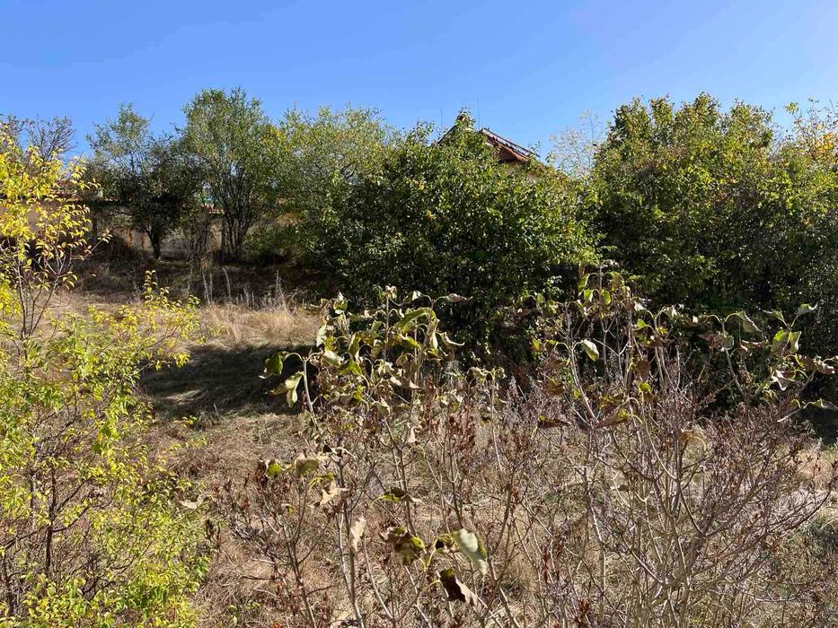 Продава се Парцел в с. Широки дол, Област София-област - 1403 кв.м за 19 €/кв.м - Снимка #5