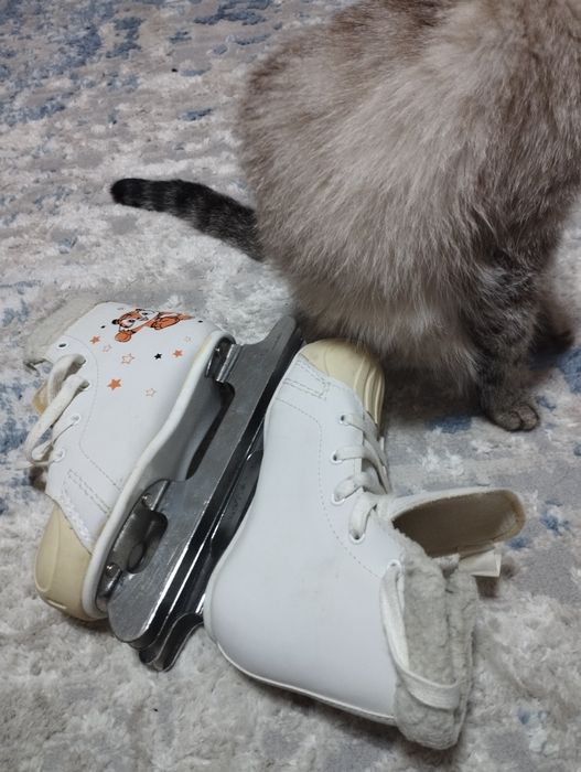 Продам коньки детские! Срочно!