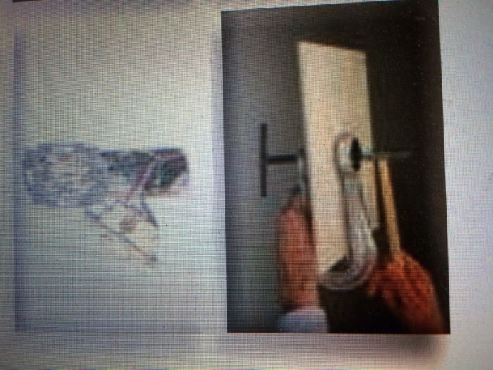 Dispozitiv Aparat taiat taiat gresie profesional nu Sigma