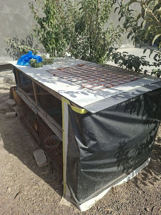 Товуқ уйчаси сотилади