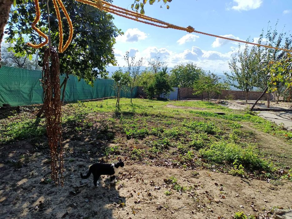 Продавам къща в село Черни Бряг, община Антоново, 64 кв.м с двор