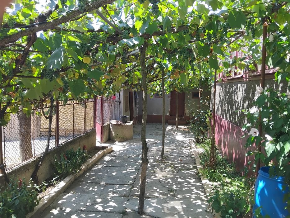 Vând casă în Cuied județul Arad