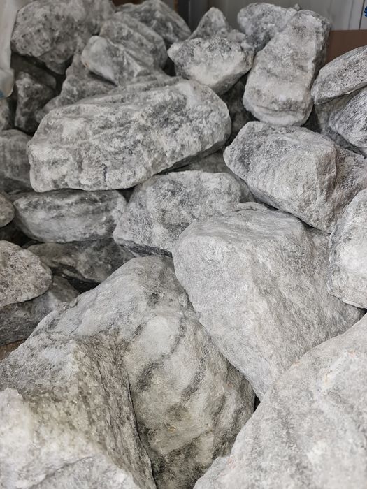 Sare bulgari zootehnici