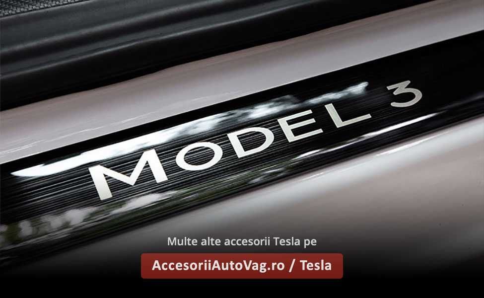 Ornamente INOX praguri (argintii / negre / carbon) - Tesla Model 3