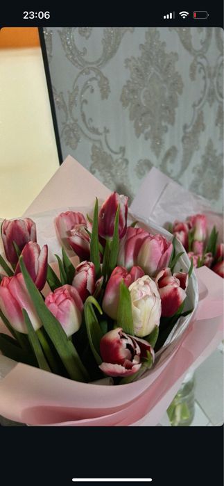 Свижий букет тюльпанов  15 штук