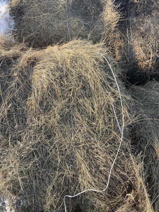 Сено разнотравье рулоны