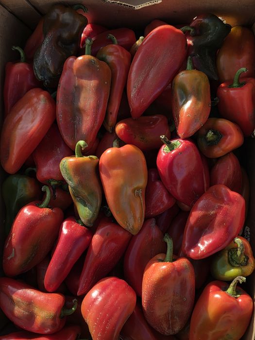 Vând ardei kapia verde