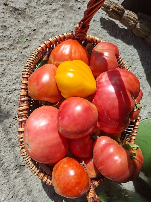 Продаётся 2х-этажный дом