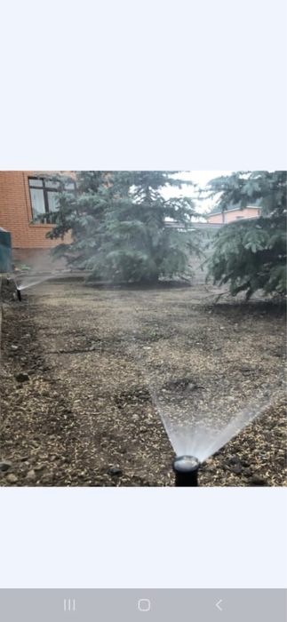 Газон Егеміз сапалы гарантия