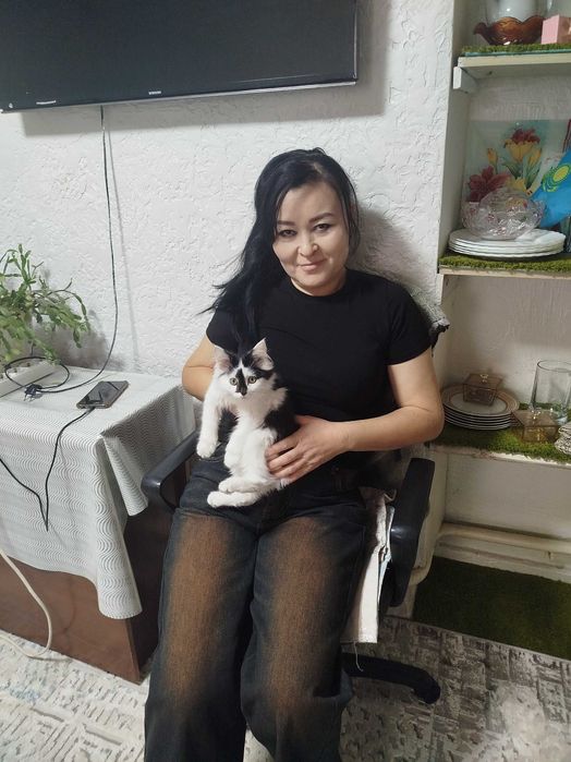 Котик 3 месяца ласковая девочка.