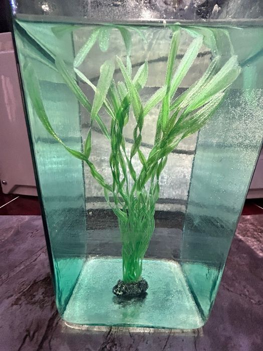 Аквариум Сатылады 20 литр