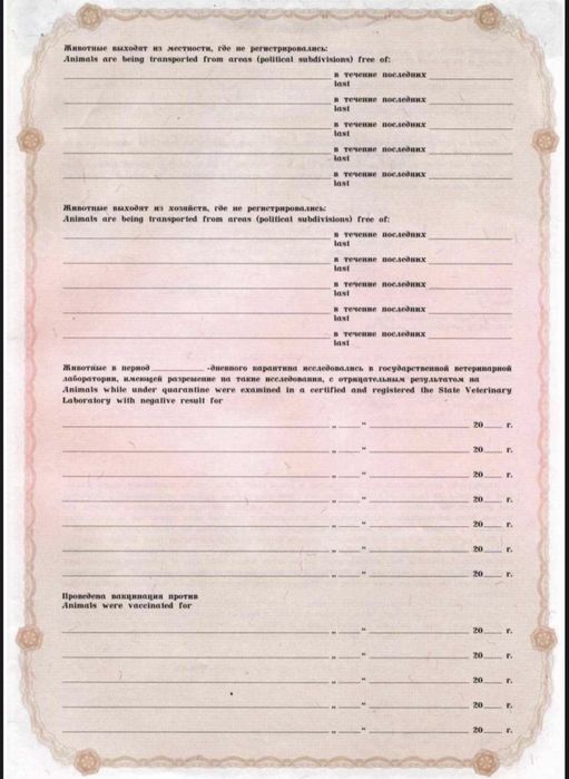 Пиявки медицинские, Гирудотерапия