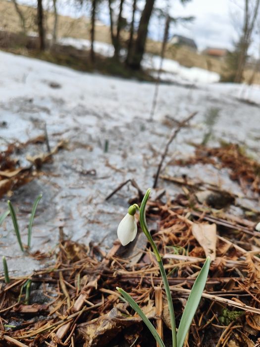 Teren investitie pe malul râului