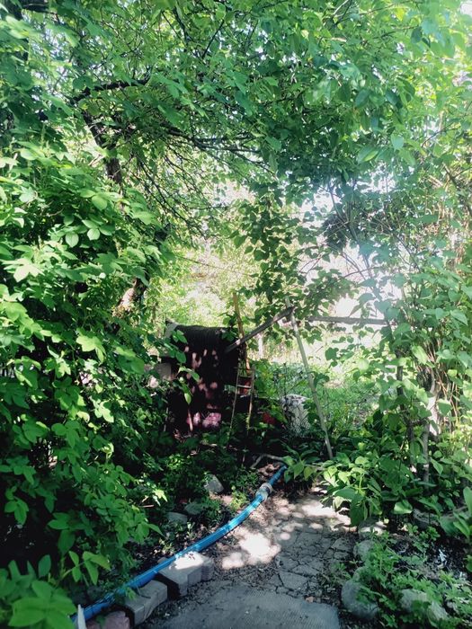 Продам дачу срочно