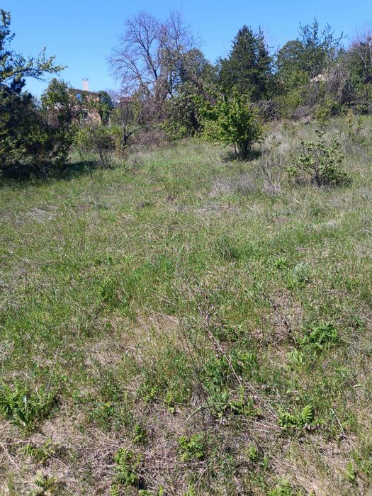 Продава се Парцел в Разград, Промишлена зона - Запад - 1700 кв.м за 12 €/кв.м - Снимка #1