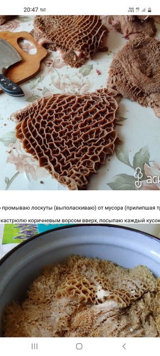Требуха для собак говядины ия