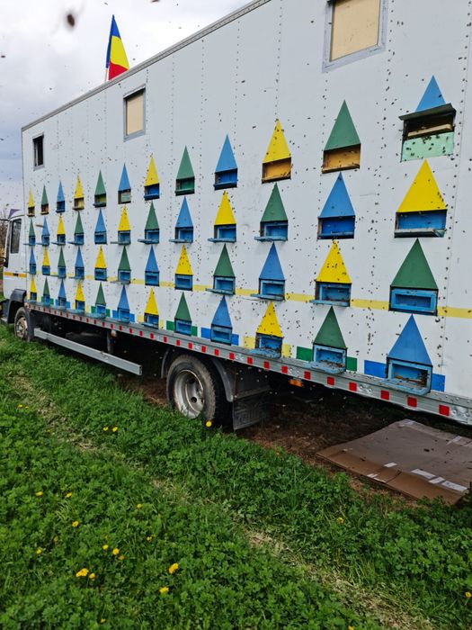 Vand Camion Apicol