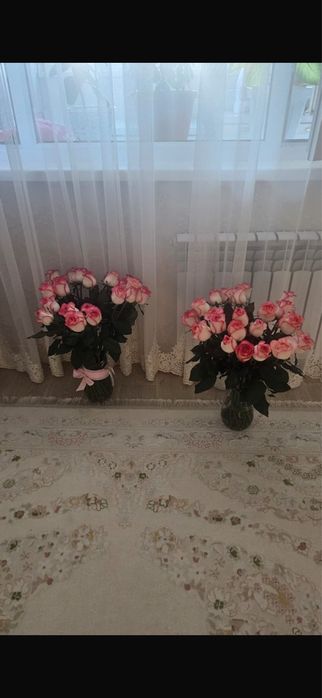 Гүл сатылады жағдайы жақсы