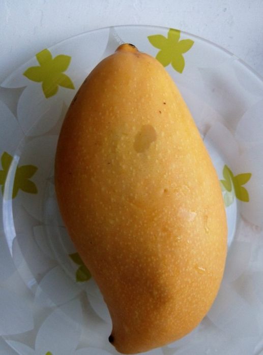 Манго. Жёлтое Тайское манго
