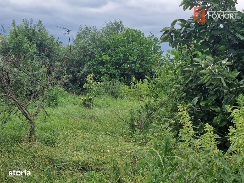 Teren intravilan de 1438 mp de vanzare, in Recas