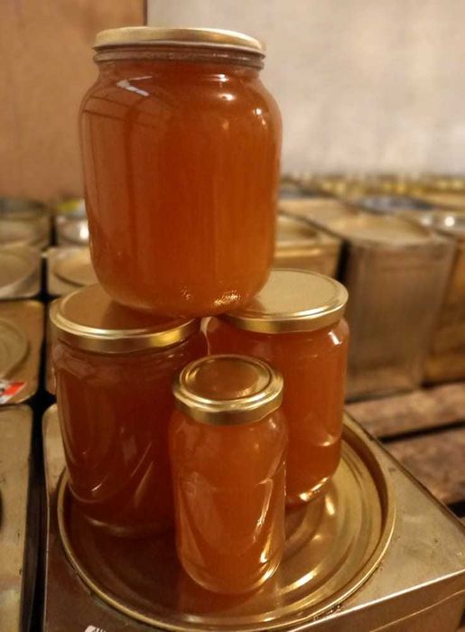 Пчелен мед 2.70 EU/кг, добив 2025г