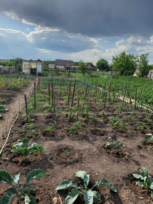 Продам частный дом 3 комнатный.