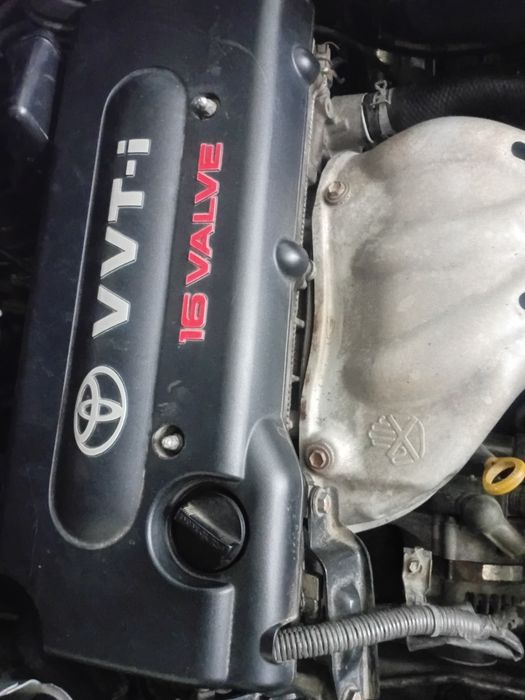 Tayota camry sorkovka