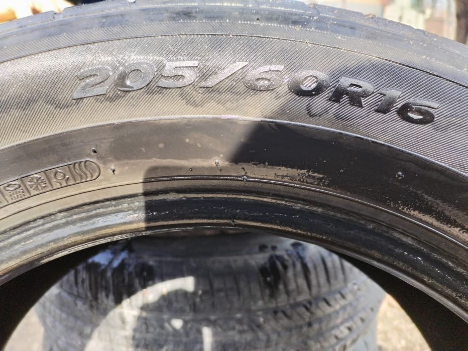 Ризина летный  хорошо состояние