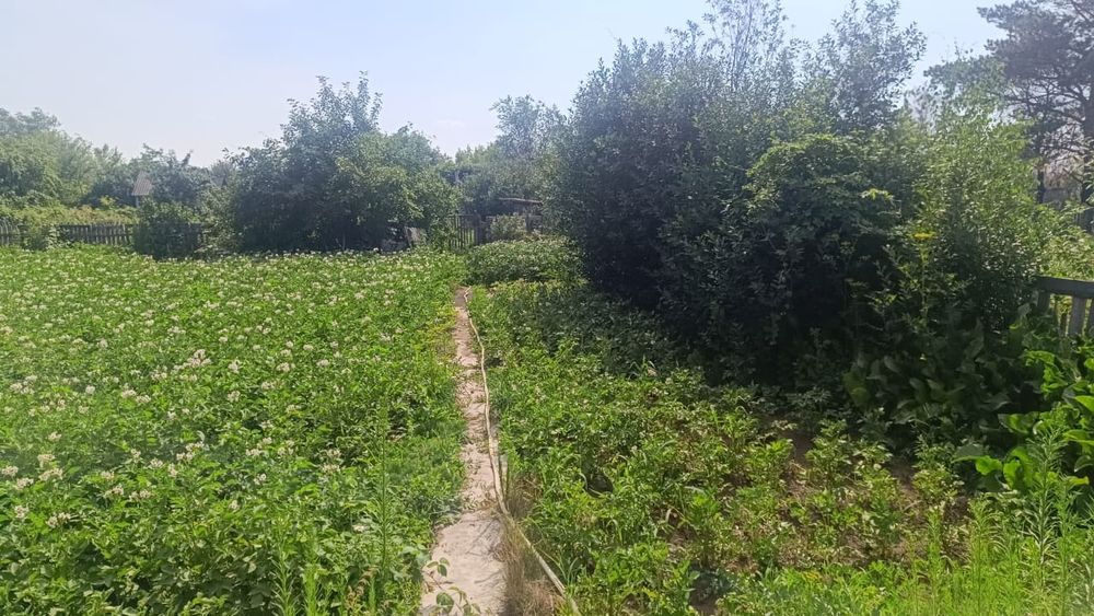 Сдам дачу сад Энтузиаст