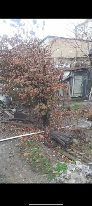 Продается участок земли 3.8 в Мирабадском районе, недалеко от вокзала!