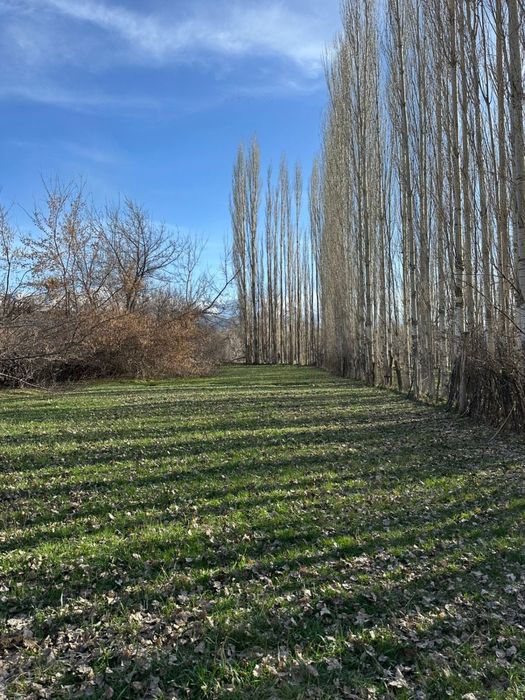 Продается участок в поселке Каскасу